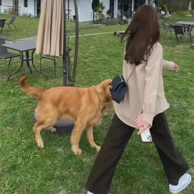 上流恶邻